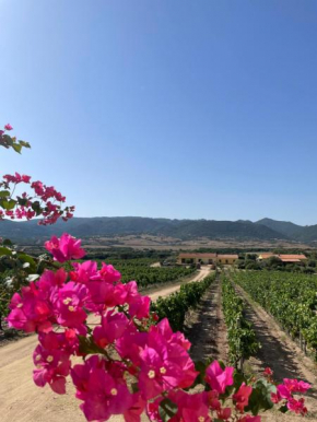 Agriturismo Campesi casale tra le vigne